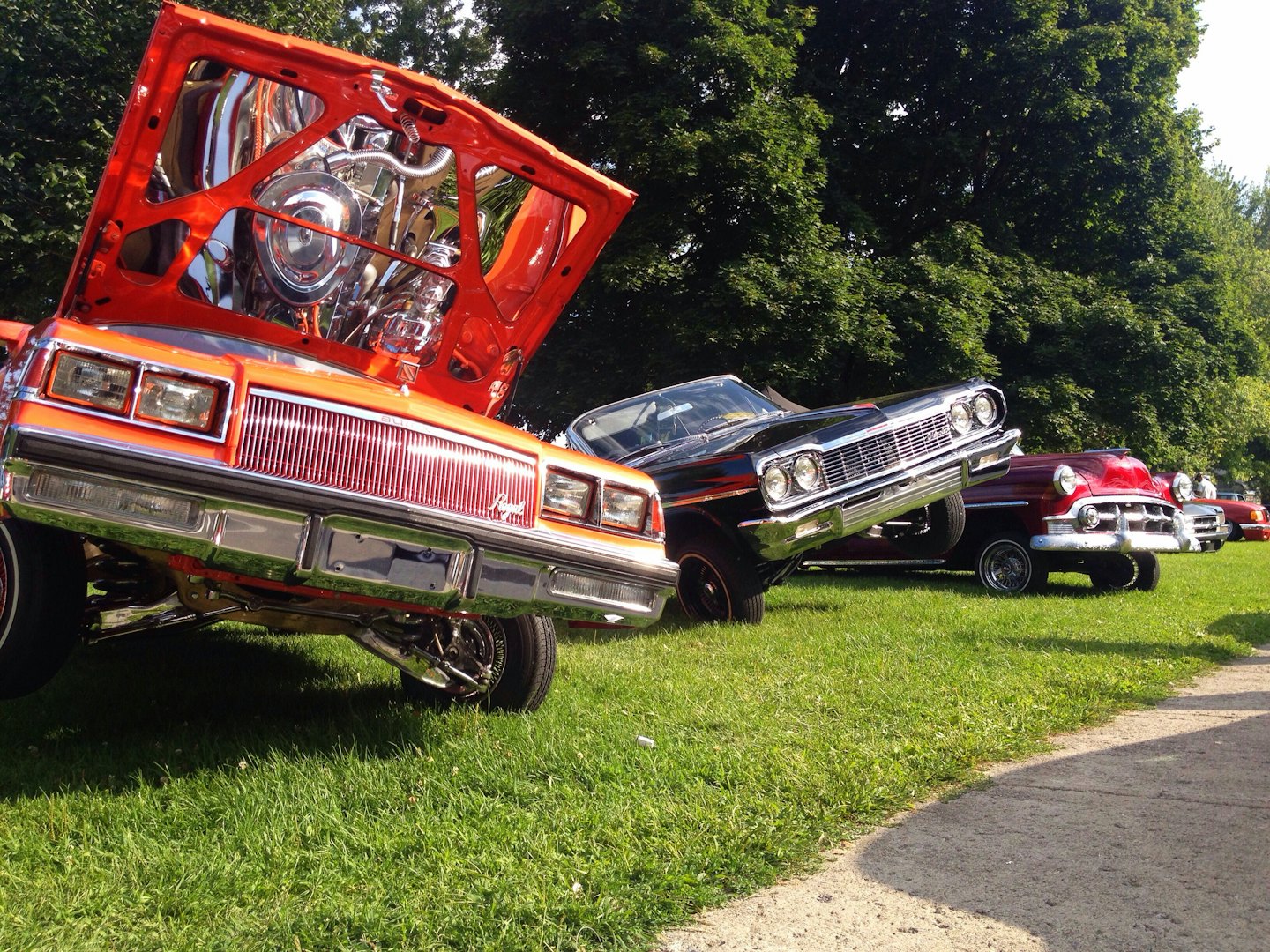 Custom classic cars on a sunny day with grass and trees.